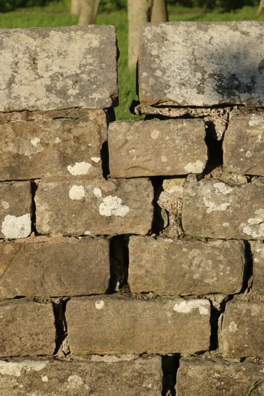 Stone Wall Repair in Loveland, CO